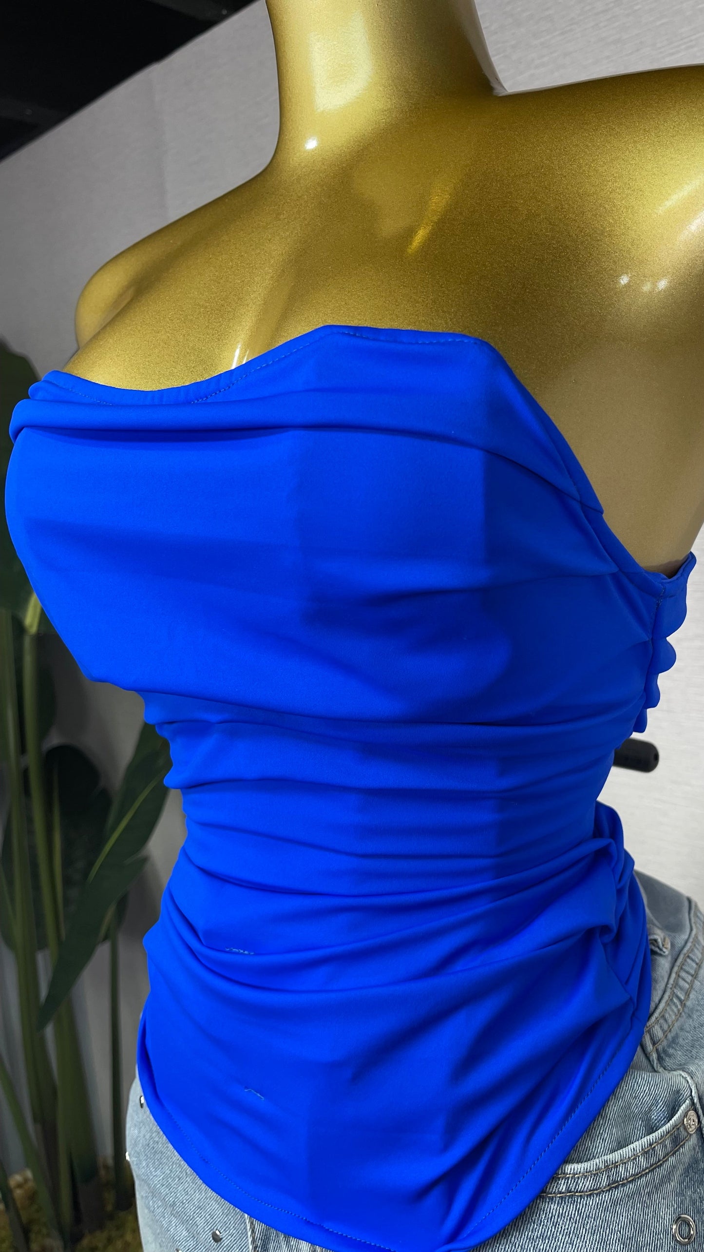 ROYAL BLUE CORSET
