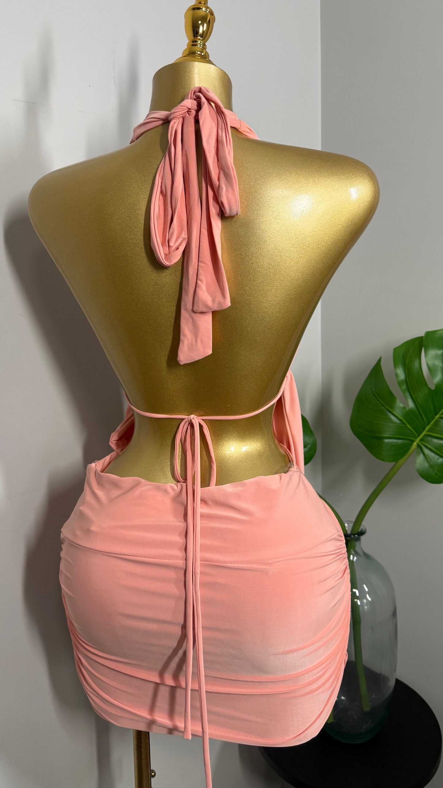 LEYLA BLUSH DRESS