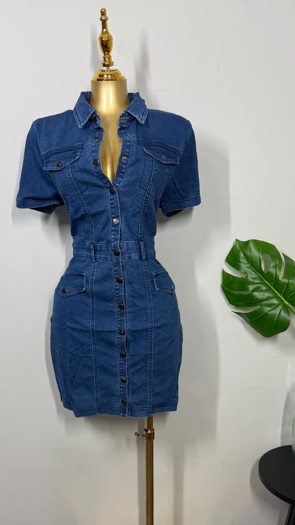 LISA DENIM DRESS