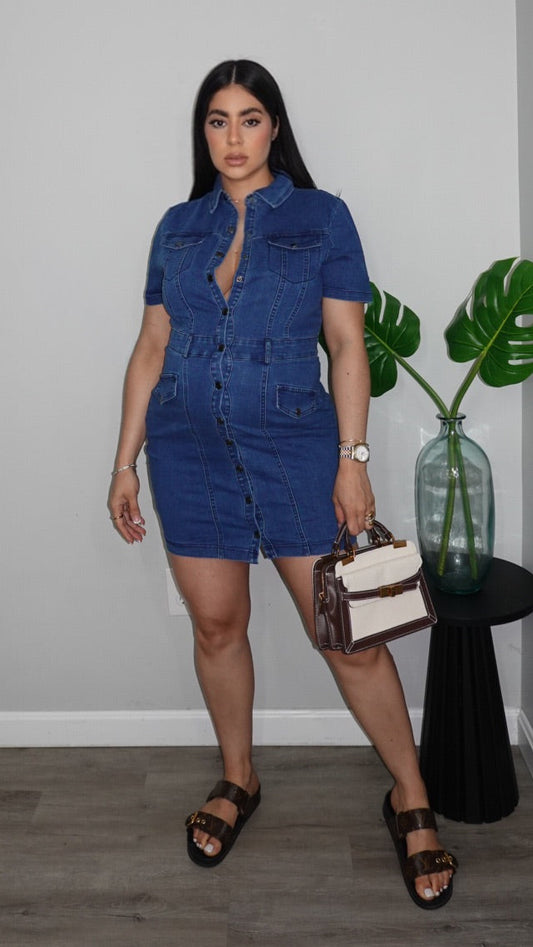 LISA DENIM DRESS