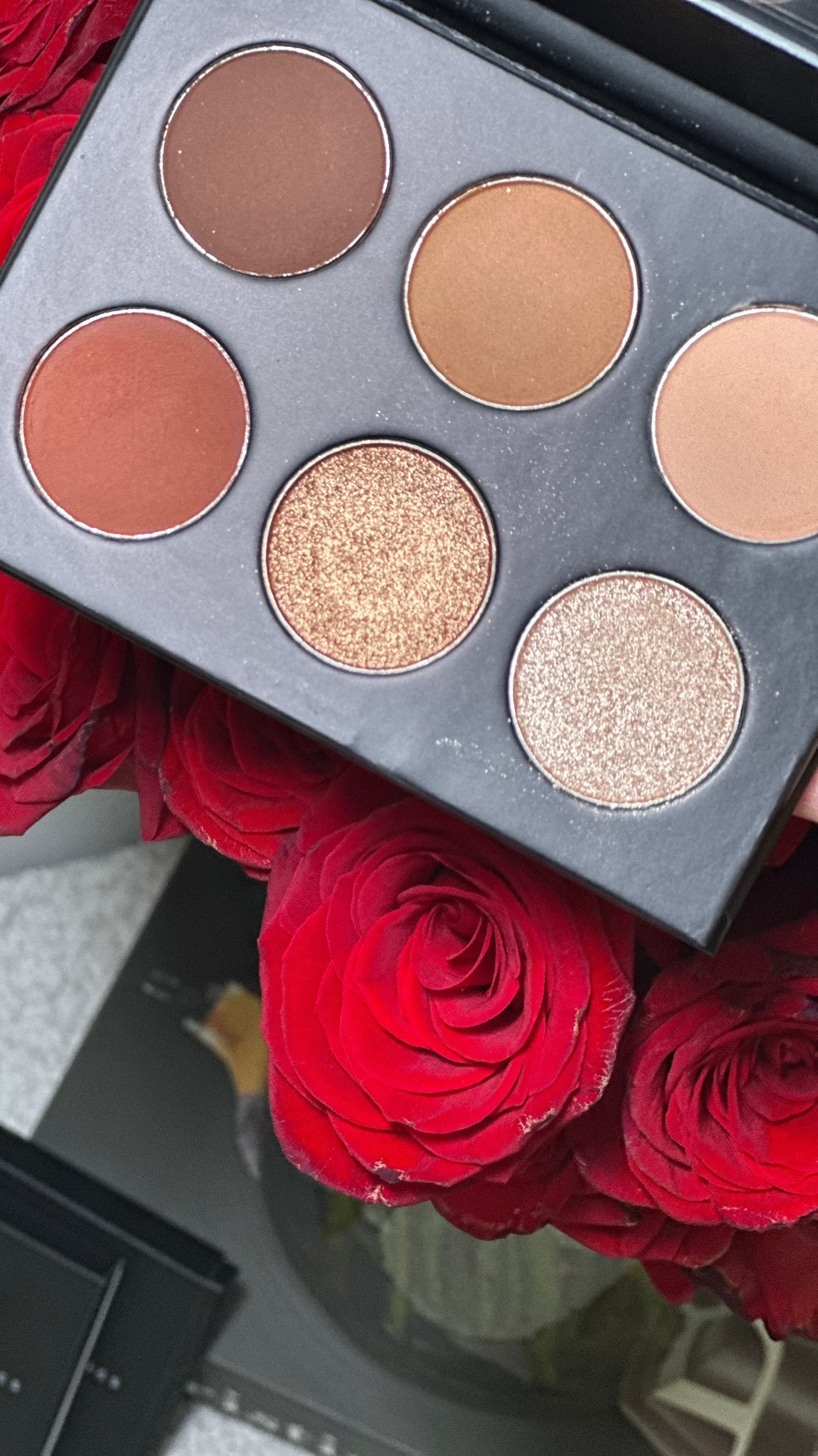 Fabiola Eye Shadow (Paleta 6 Colores)