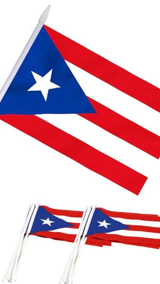 Mini Banderas PR